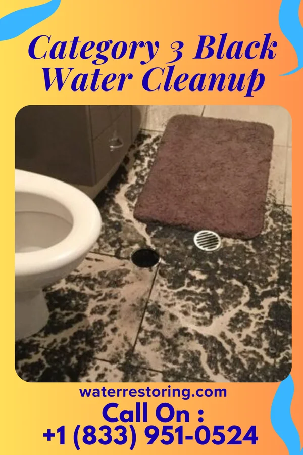 Category 3 Black Water Cleanup in Calais, ME